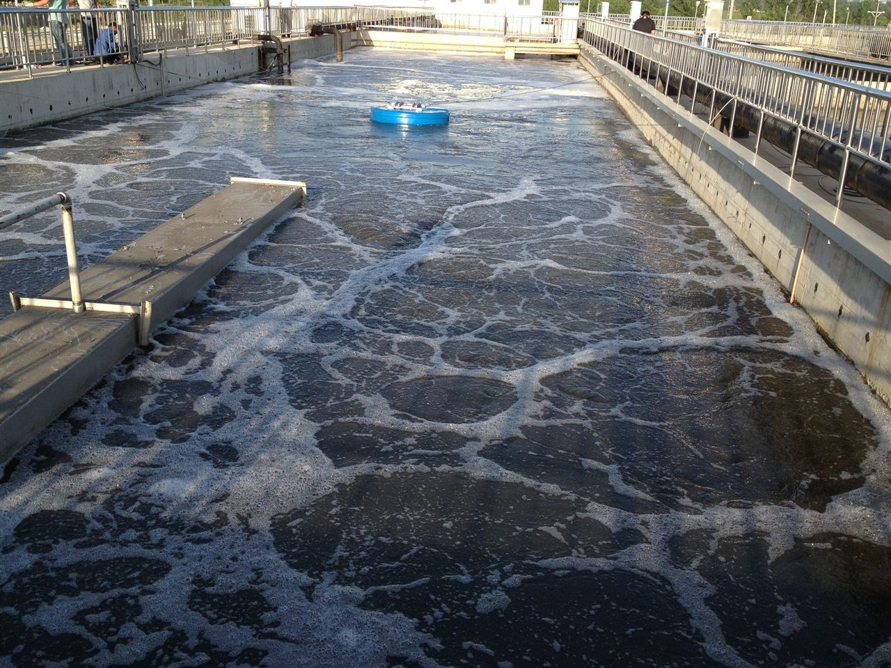 水處理羅茨鼓風機