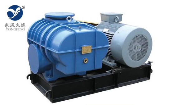 兩葉羅茨鼓風機 兩葉羅茨鼓風機